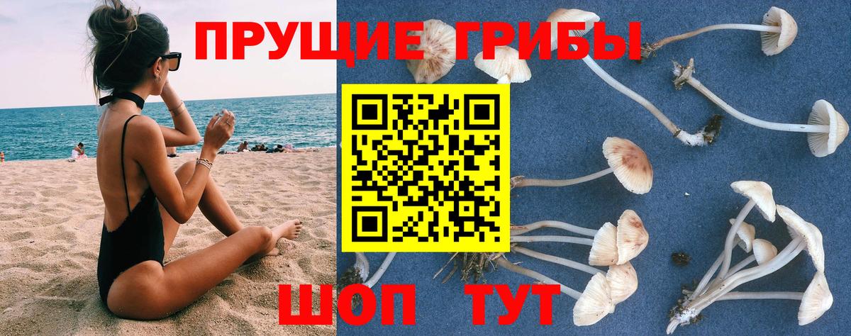Галлюциногенные грибы Cubensis  Вход с VPN  Южно-Сахалинск 